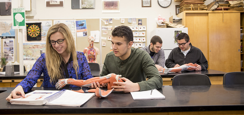 Human Biology Degree The Student Room Human Biology Degree The Student Room