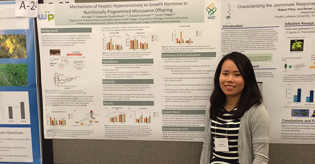 Warner Pacific science student Anh Ngo's Murdock Conference poster 2015