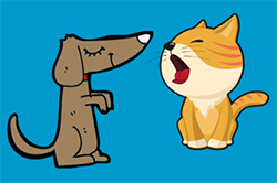A dog and a cat